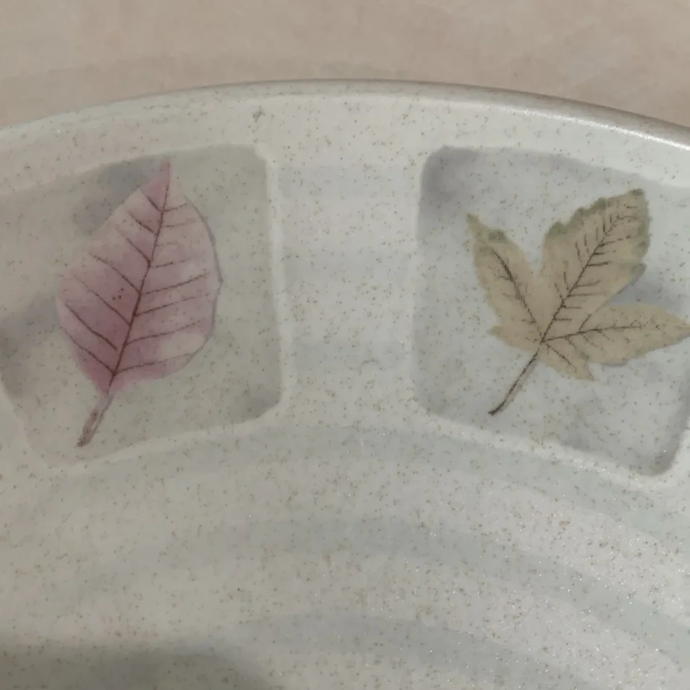 Mikasa Woodland High Fired Leaf Pattern Dinner Plates. Set of 2.